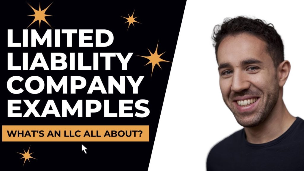 limited liability company examples